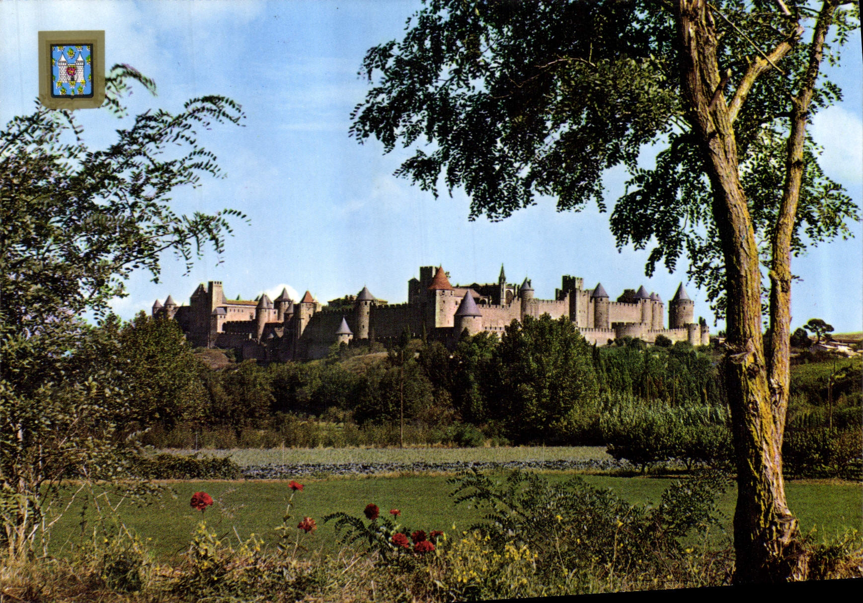 CPM Arts et Couleurs de l'Aude Carcassonne Vue generale Cote Sud 