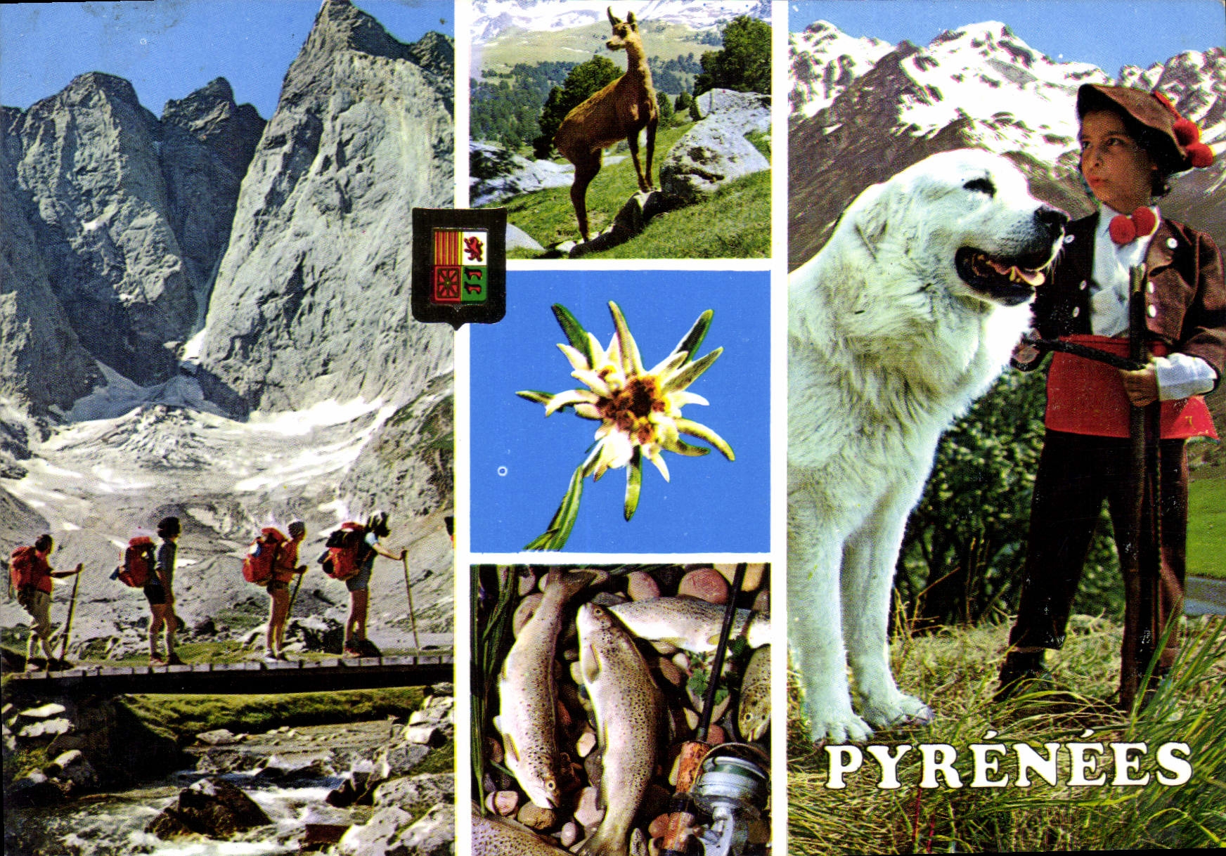 Les Pyrénées — Montagnes, faune et flore — Éditions FISA, Barcelone