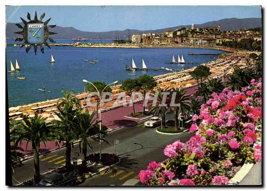 CPM Cannes Cote d'Azur French Riviera 