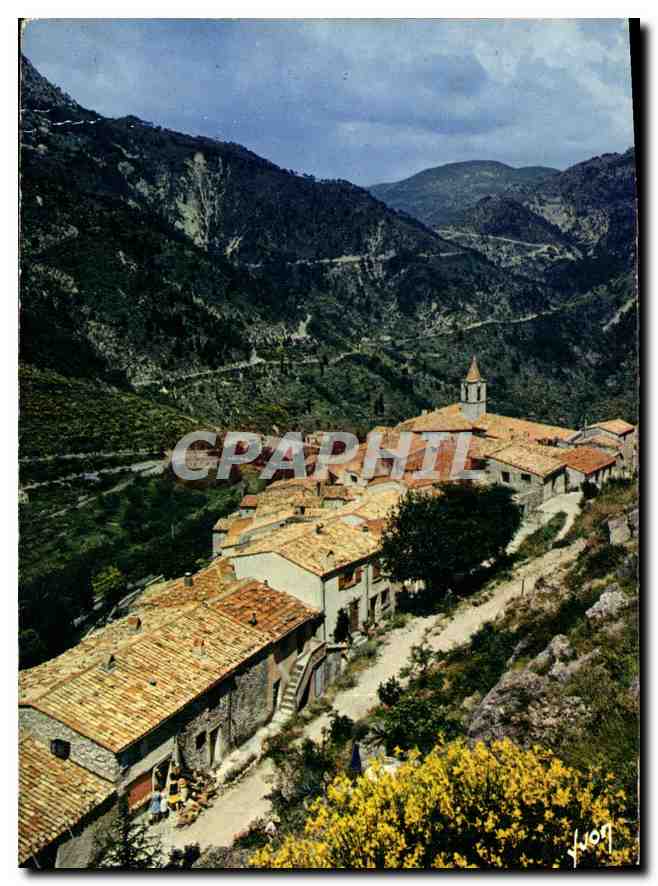 CPM La Cote d'Azur miracle de la nature Sainte Agnes Alpes Maritimes 