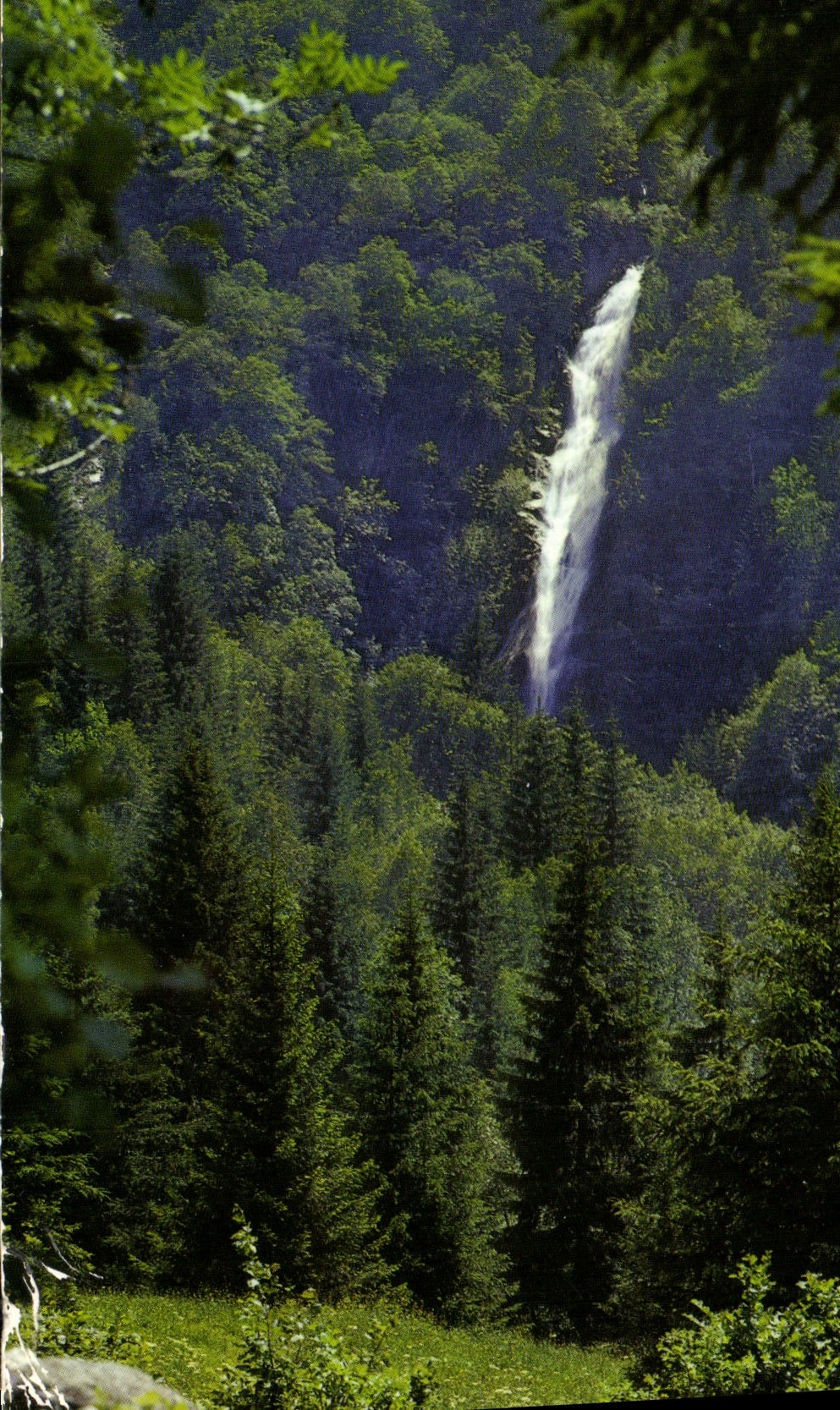 La Cascade du Pissou — Environs de La Ferrière d'Allevard (38-Isère) — Éditeur SPADÈM, n° 38 AG 32