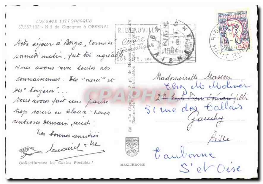 CPM L'Alsace Pittoresque Nid de Cigognes a Obernai  — Rückseite