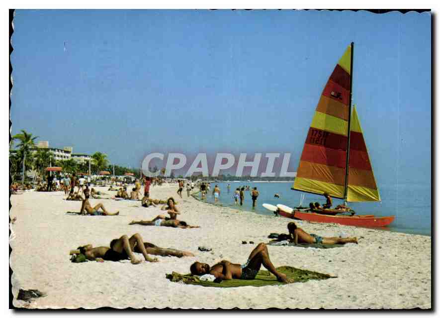 CPM Key West Beaches offer year round swimming sailing and sunbathing Catamaran