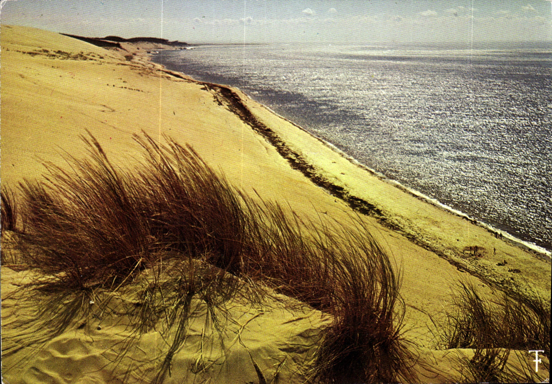 Dunes de la côte atlantique — Saint-Jean-de-la-Selle — Éditions des Septfontaines