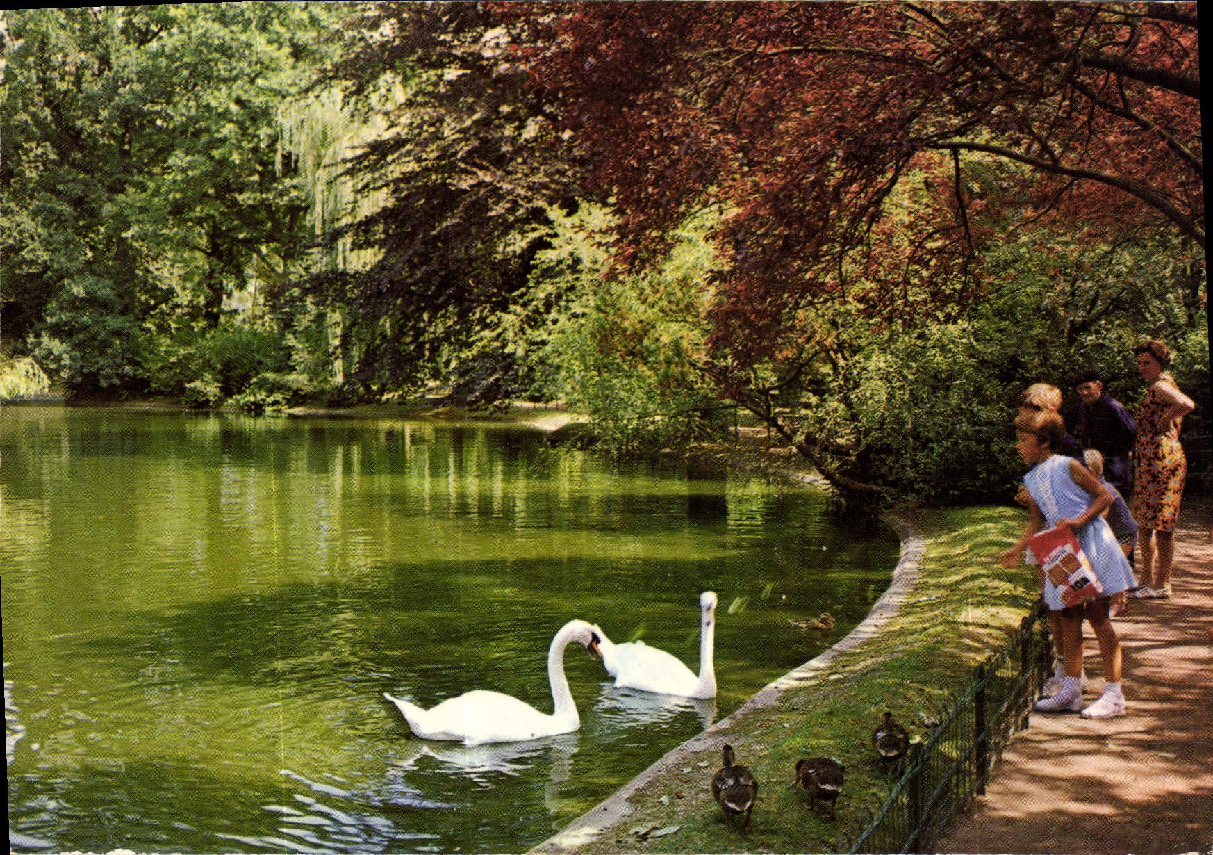 CPM Cambrai Nord Le Lac aux Cygnes 