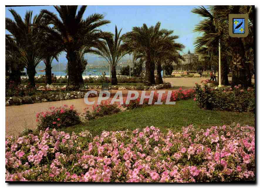 CPM Cannes Une partie des jardins fleuris de la Croisette 