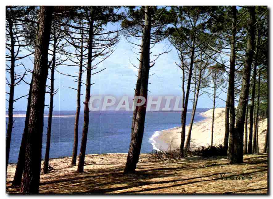 CPM Visage des Landes Bord de Mer 