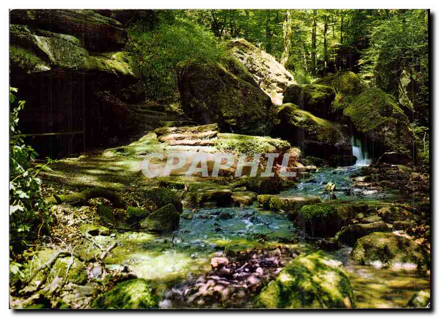 CPM Petite Suisse Luxembourgeoise Hallerbach Promenade H Beaufort Haller 
