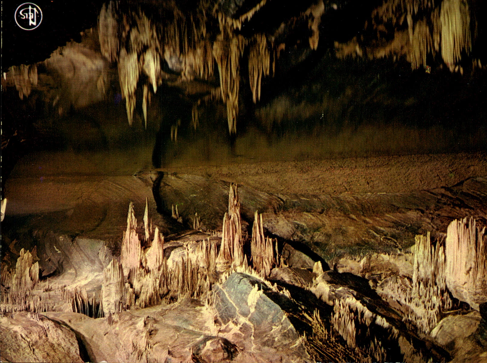 CPM Grottes de Han Lesse Salle des Draperies 