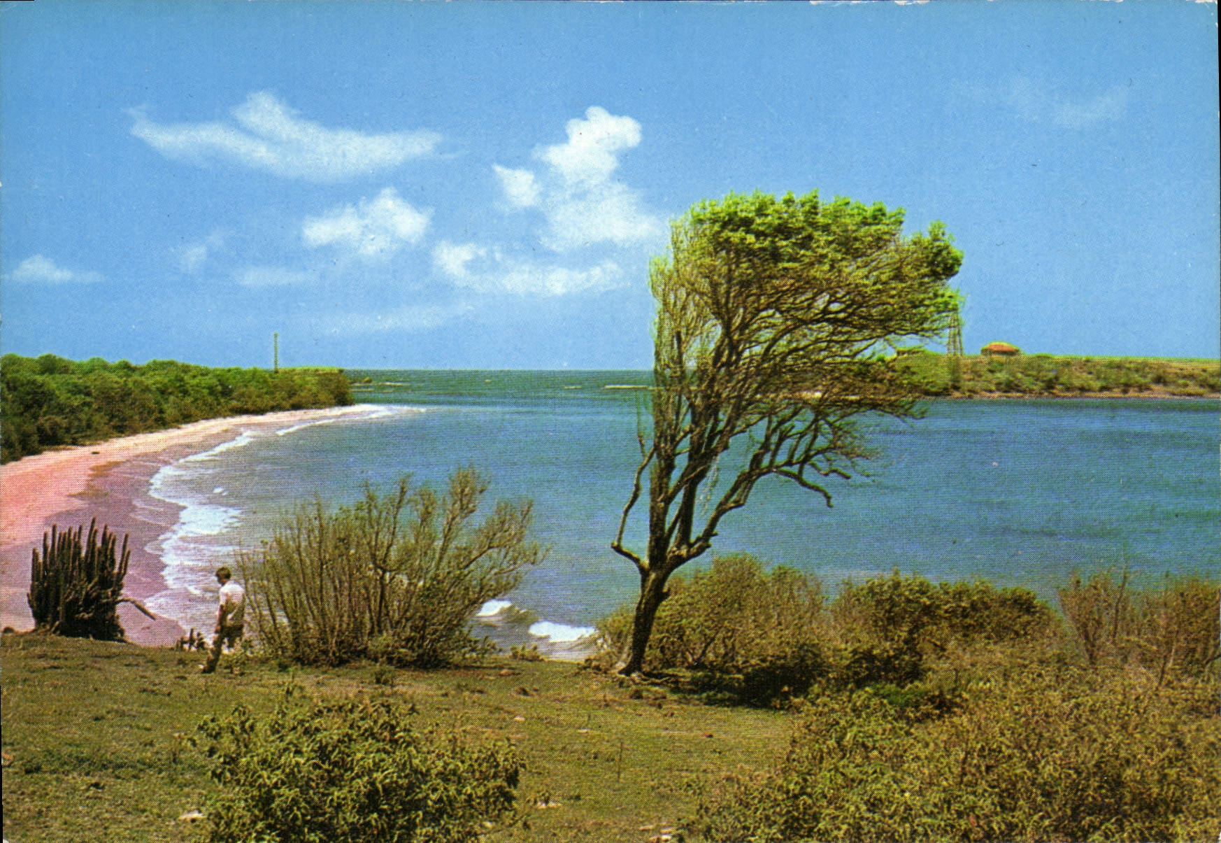 Martinique — Le Sud de l'île : Plage des Salines et îlet Cabrits — Éditions Félix ROSE-ROSETTE