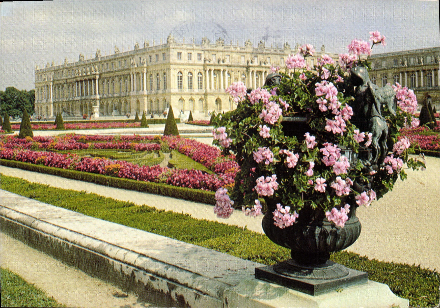 CPM Versailles Le Chateau et le Parterre Sud 