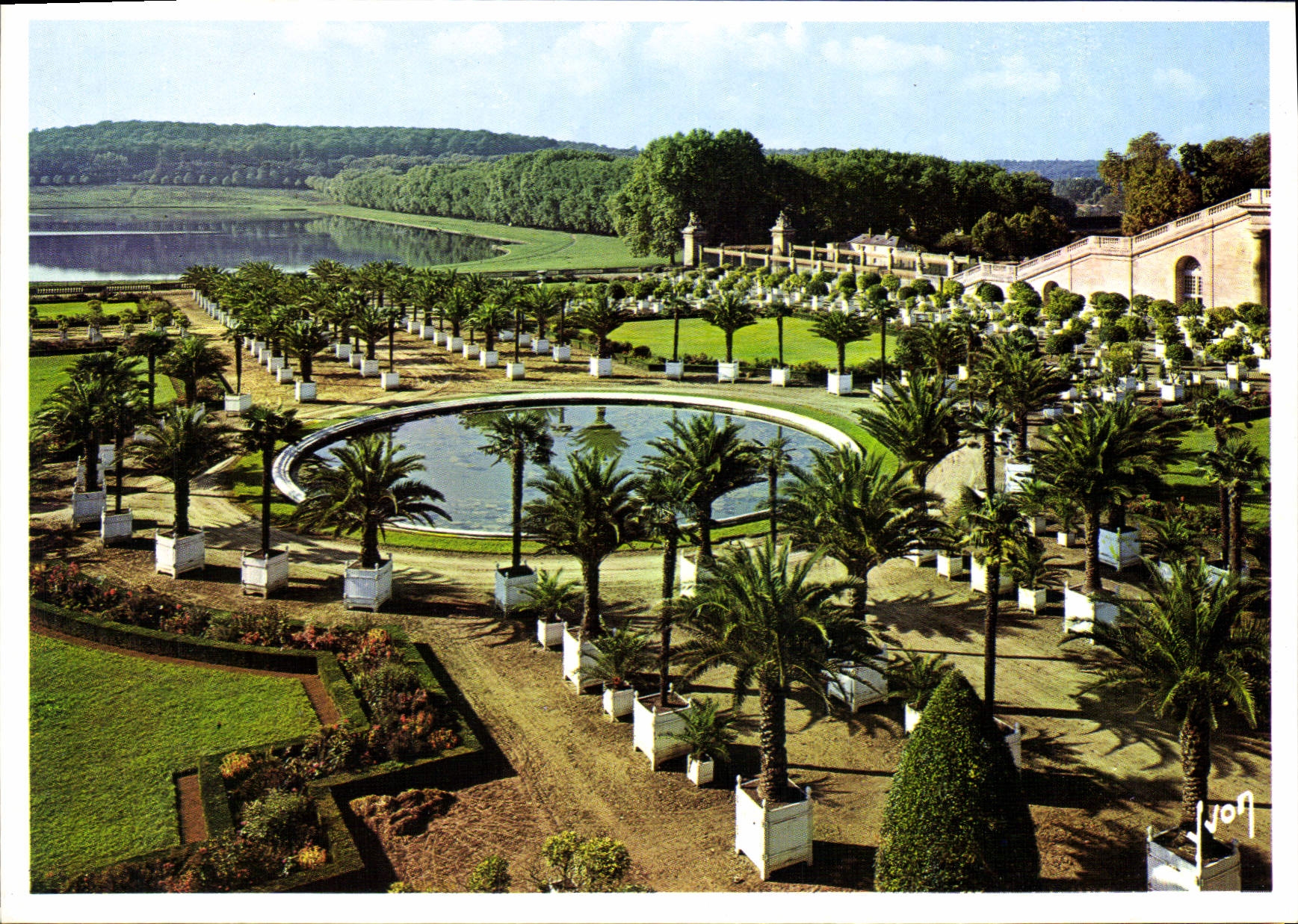 CPM Chateau de Versailles Yvelines Le Jardin de l'Orangerie 