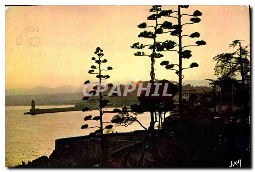 CPM La Cote d'Azur miracle de la nature Nice Alpes Maritimes Coucher de soleil sur le port 