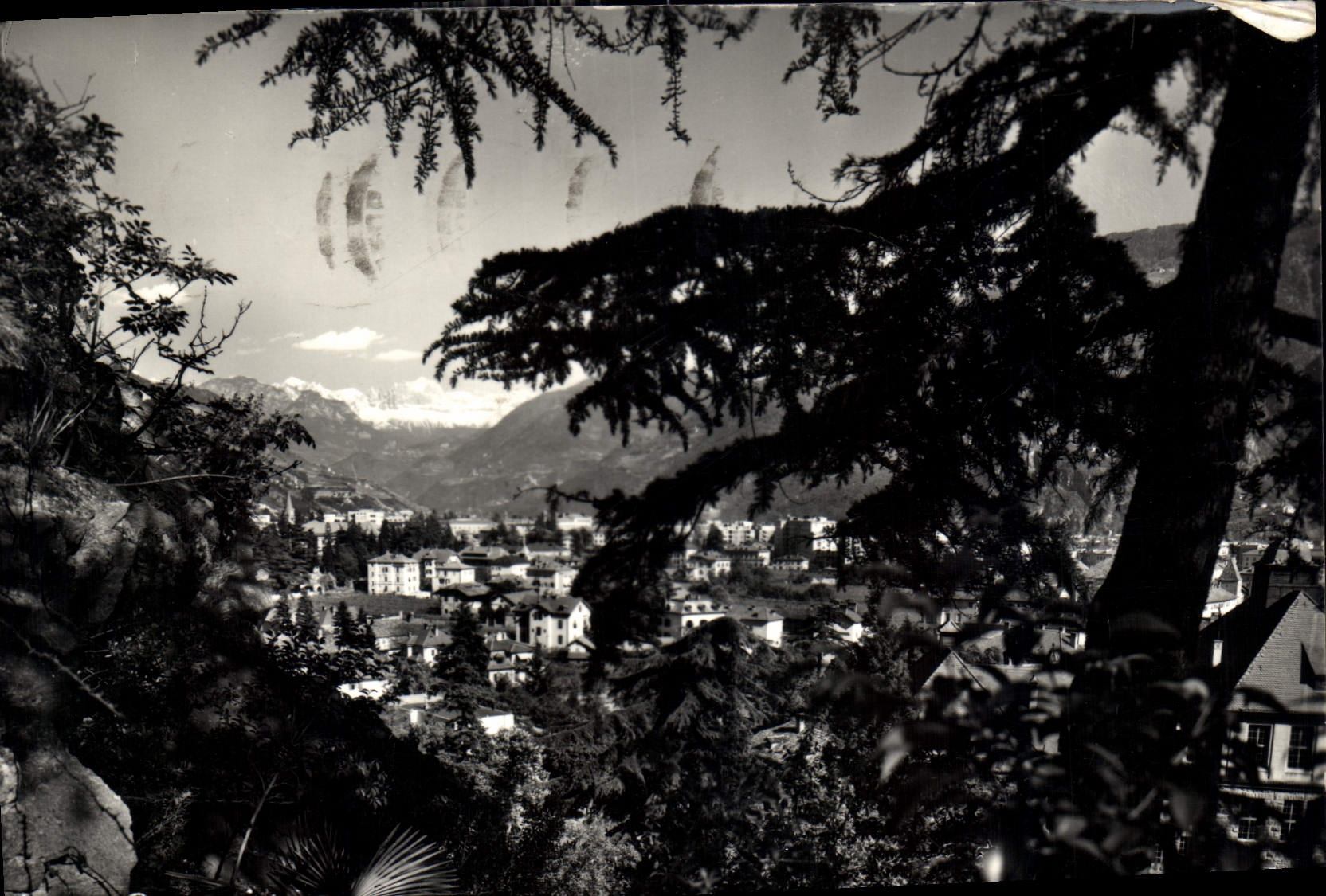 CPM Bolzano Panorama 