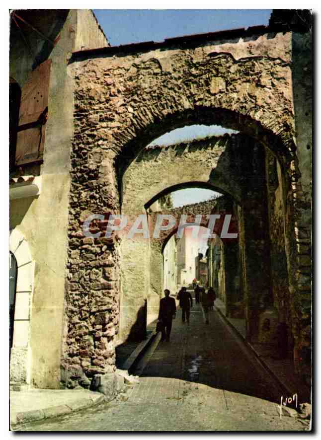 CPM La Cote d'Azur miracle de la nature Saint Tropez Var Rue de la Misericorde 