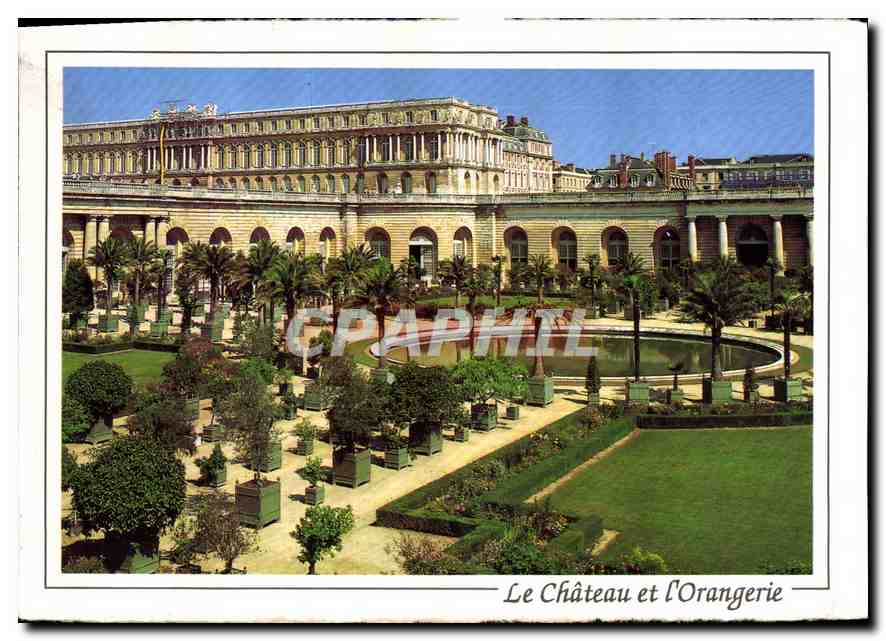 CPM Le Chateau et l'Orangerie Versailles