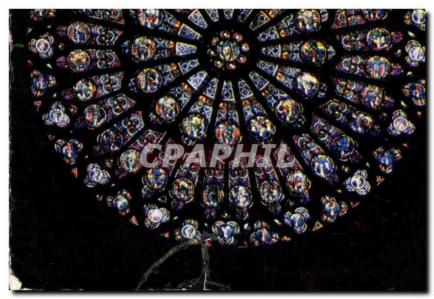 CPM Paris Notre Dame Grande rosace Nord 