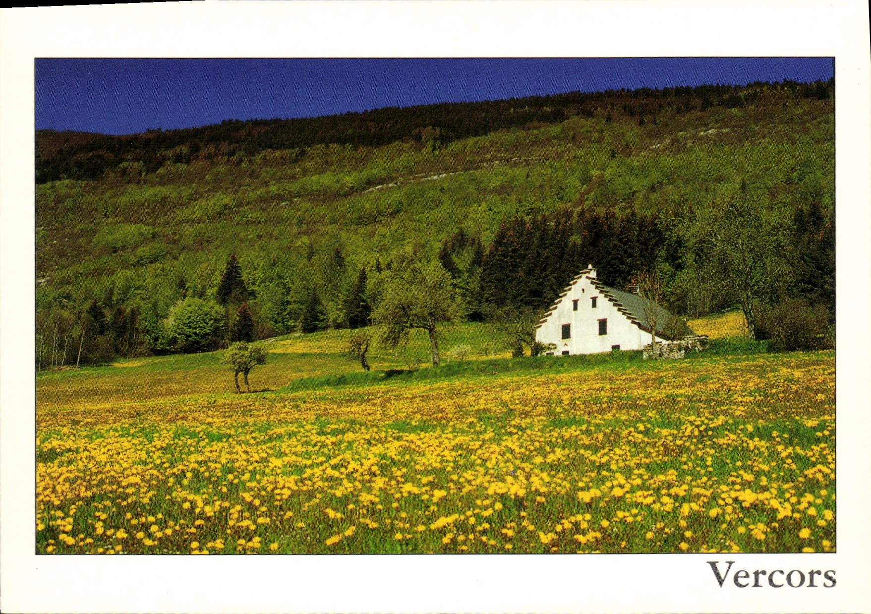 Vercors — Le printemps — Photo et édition Philippe Riboulleau - Villard de Lans