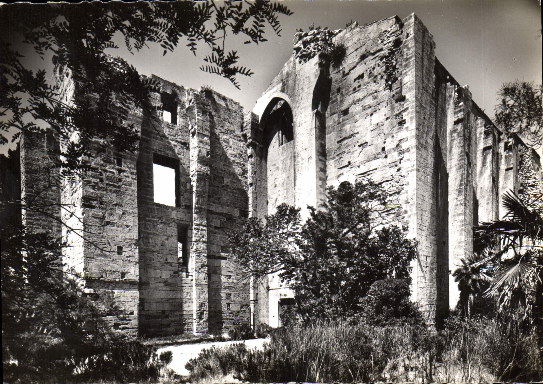 CPM Palavas les Flots Ancienne Cathedrale de Maguelone 