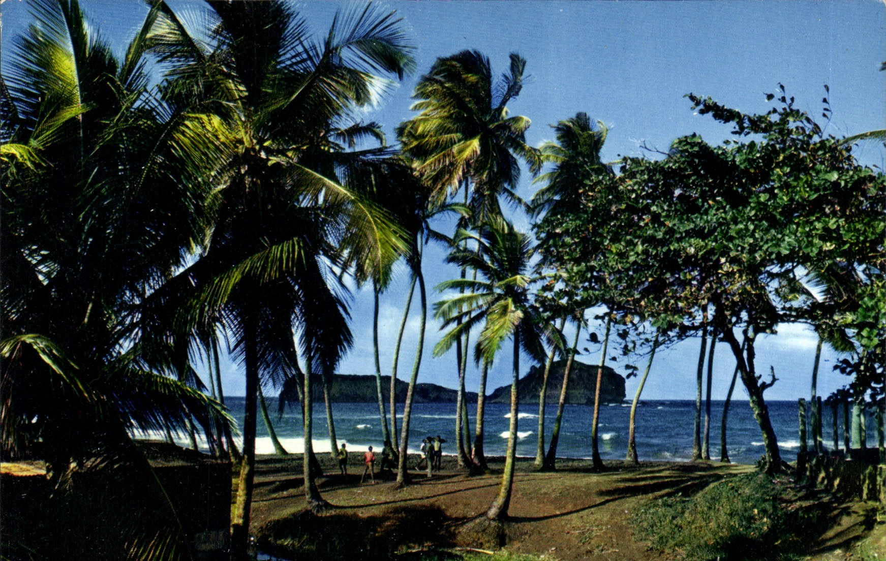 CPM Martinique Bords de mer a Ste Marie 
