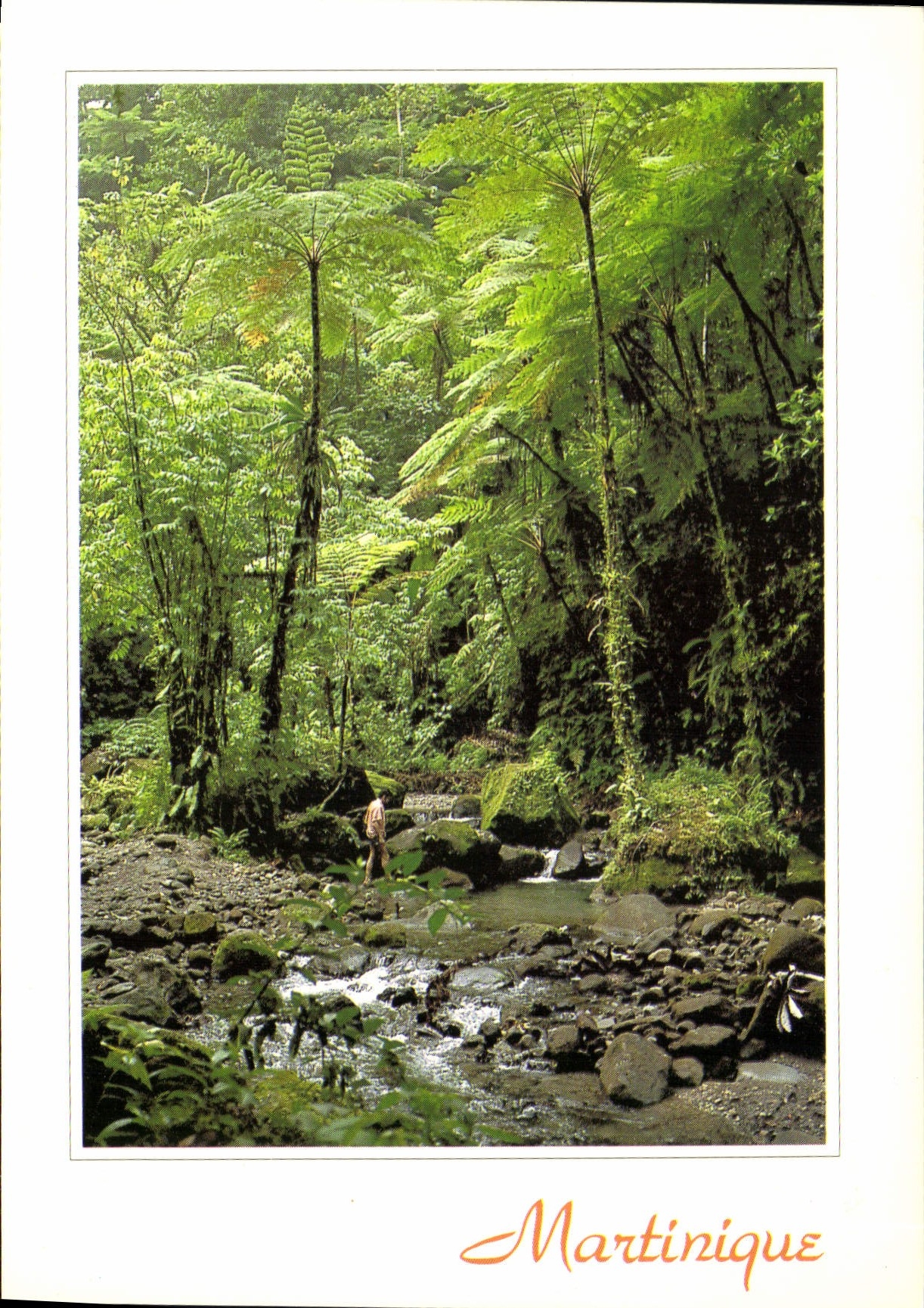 CPM Martinique Ajoupa Bouillon Les gorges de la Falaise 