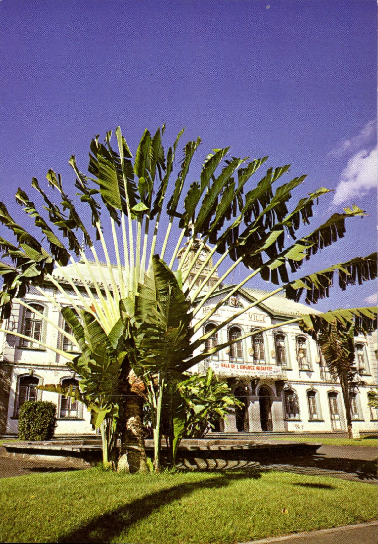CPM Martinique Fort de France L'Hotel de Ville 