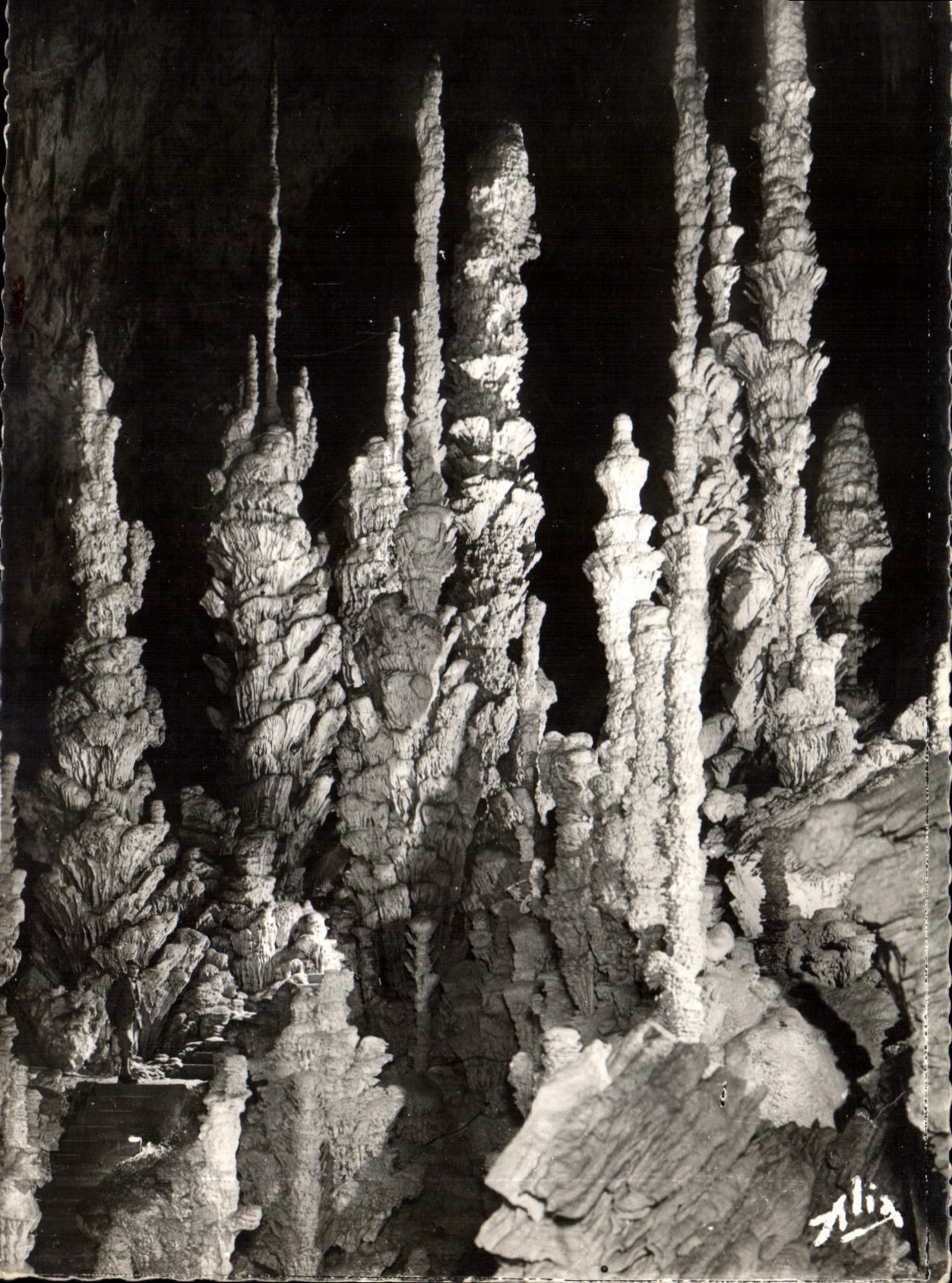 CPM Aven d'Orgnac Ardeche Les grandes Stalagmites de la Salle superieure 