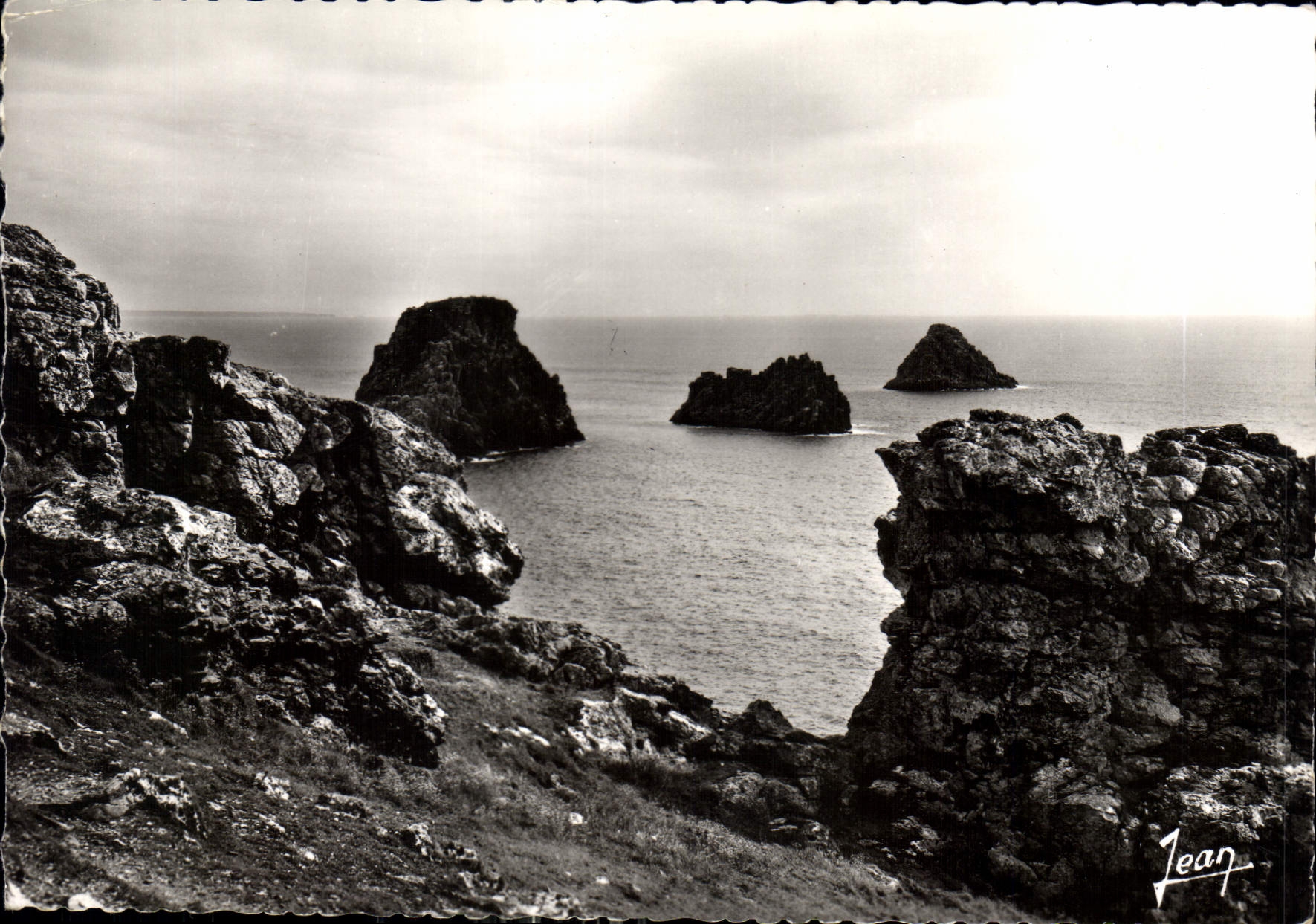 CPM Camaret Finistere Les Tas de pois 