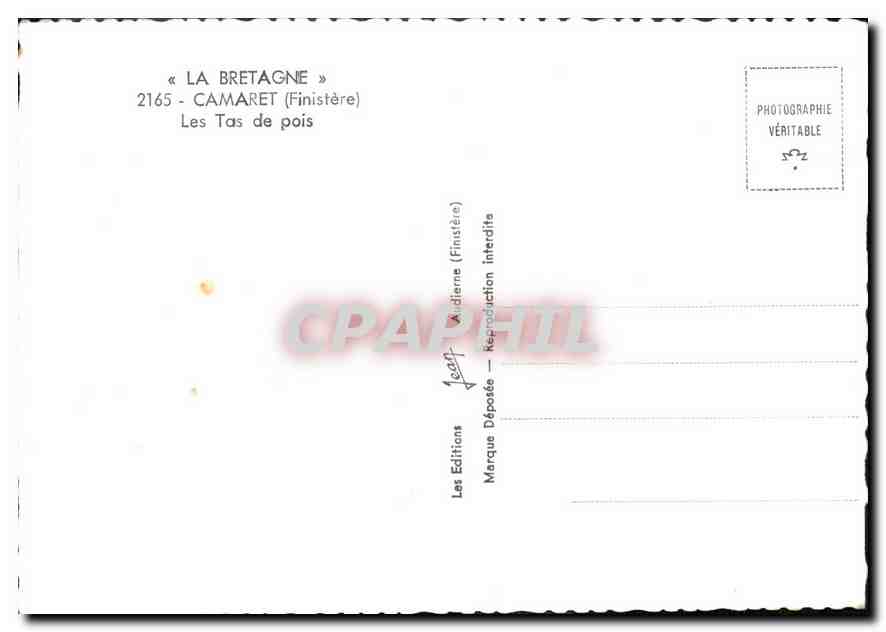 CPM Camaret Finistere Les Tas de pois  — Rückseite