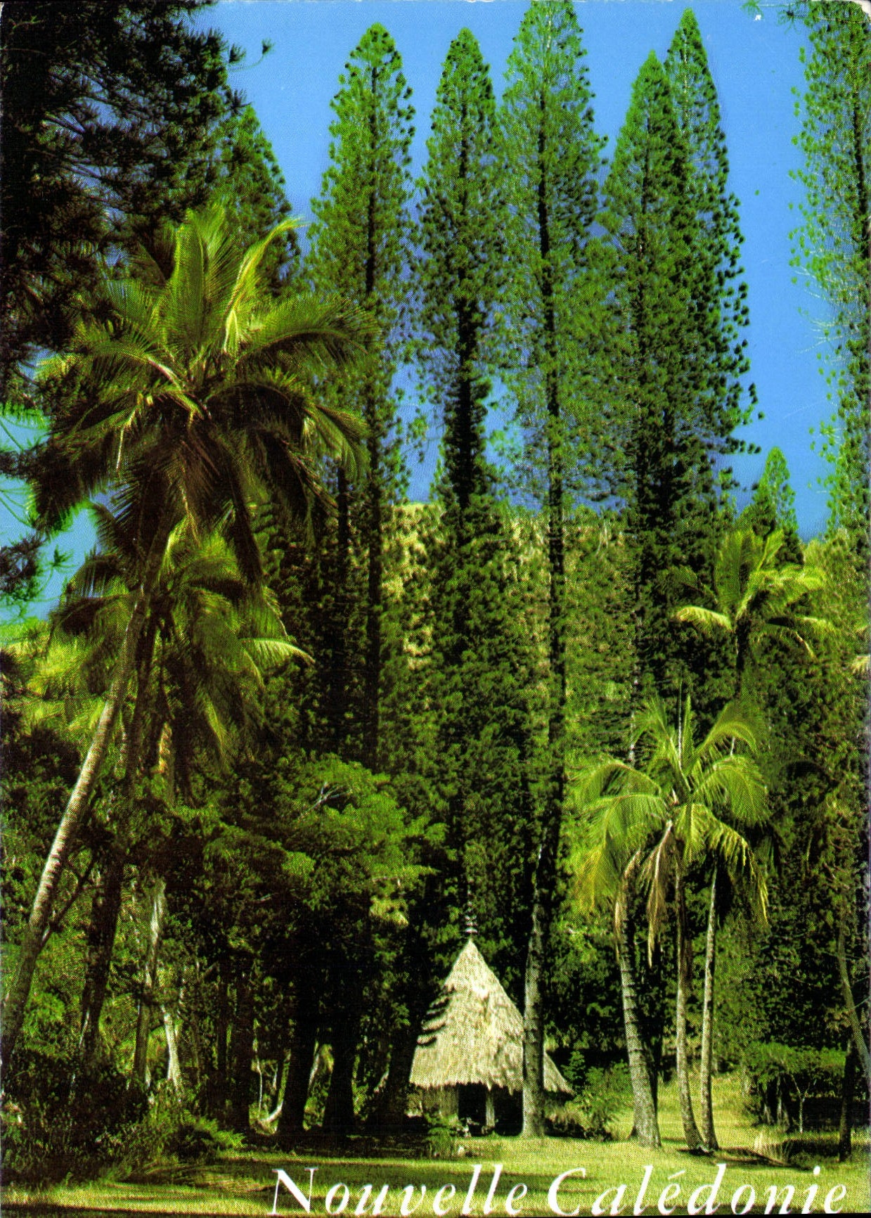 CPM Nouvelle Caledonie Tribu du Petit Couli 