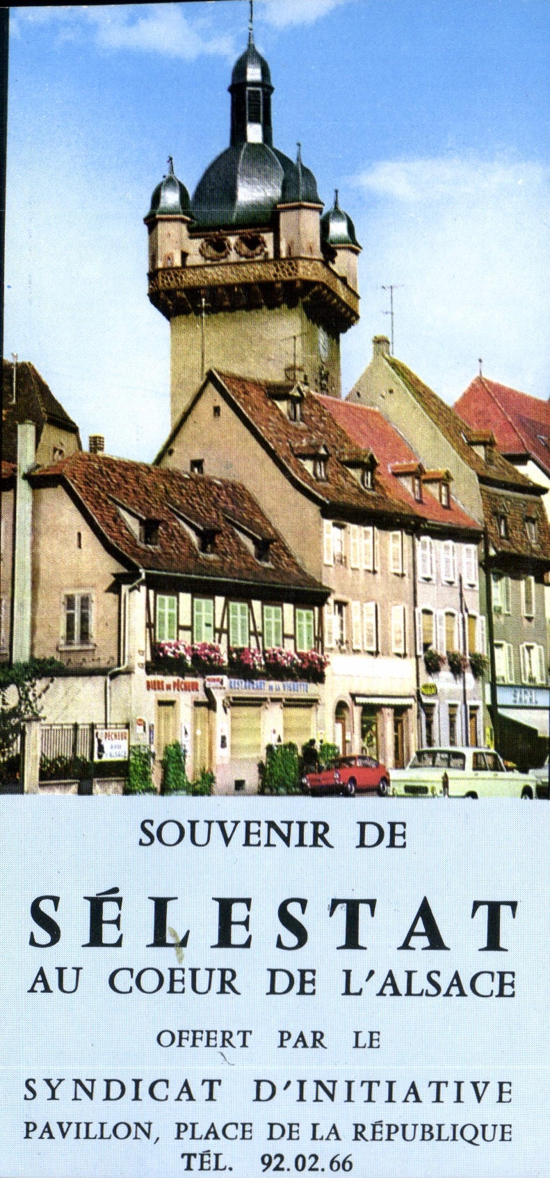 CPM Souvenir de Selestat Au Coeur de l'Alsace 
