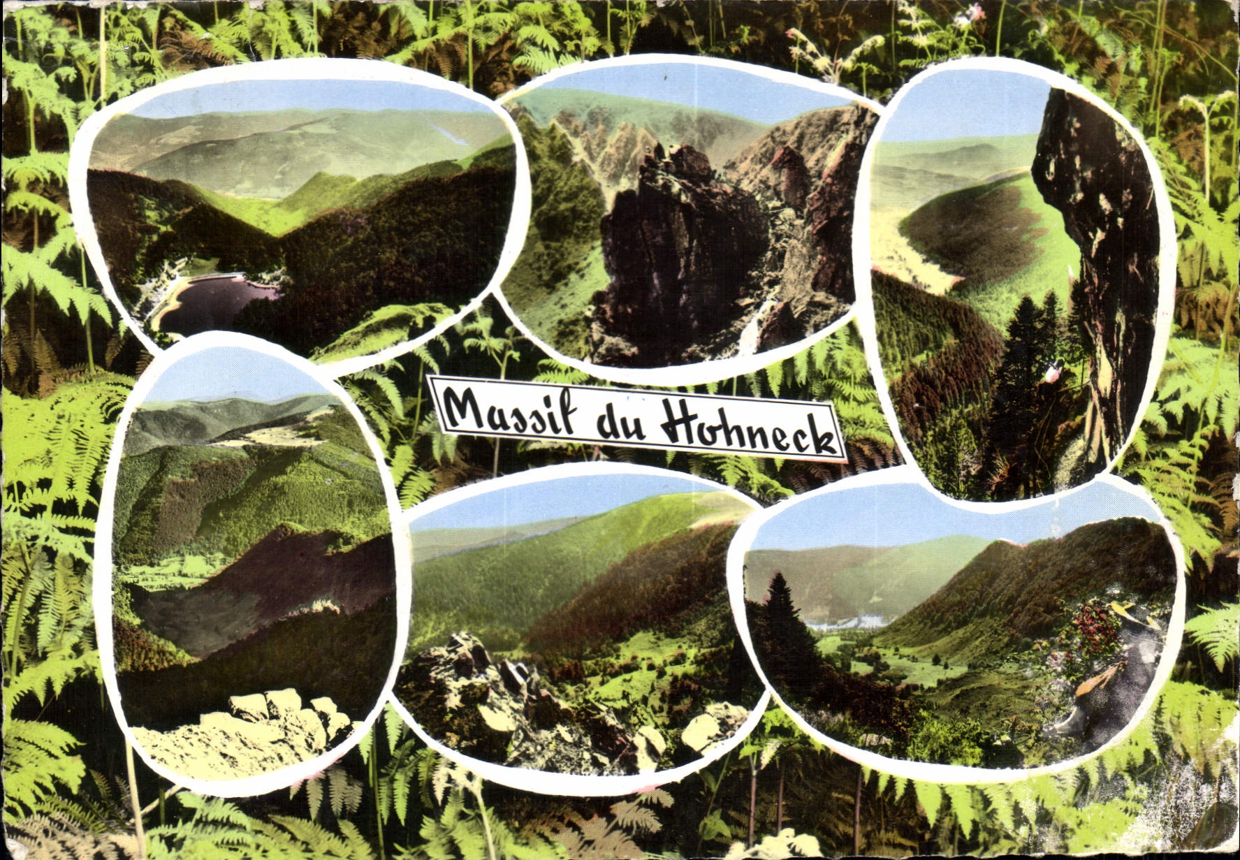 CPM Les Hautes Vosges Massif du Hohneck 