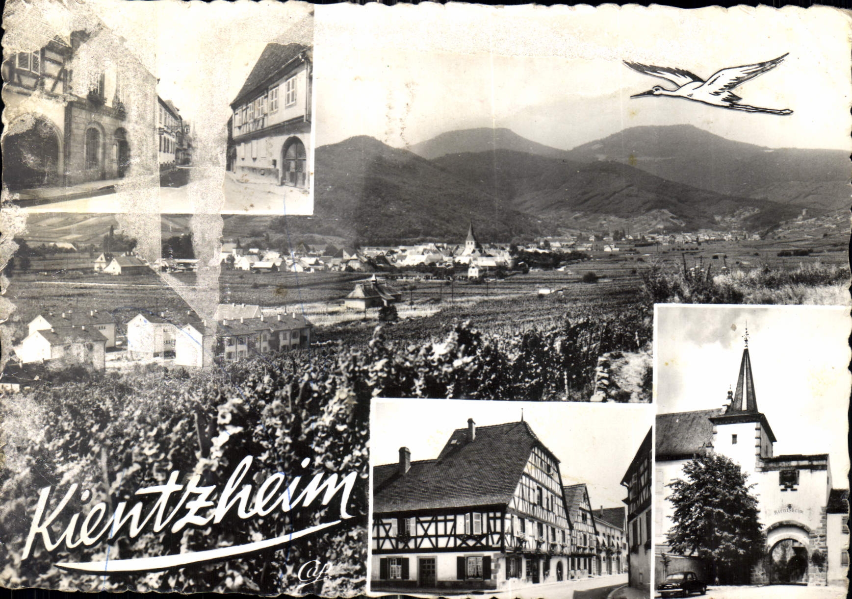 Kientzheim — vue générale avec éditeur Réal Photo et n°6