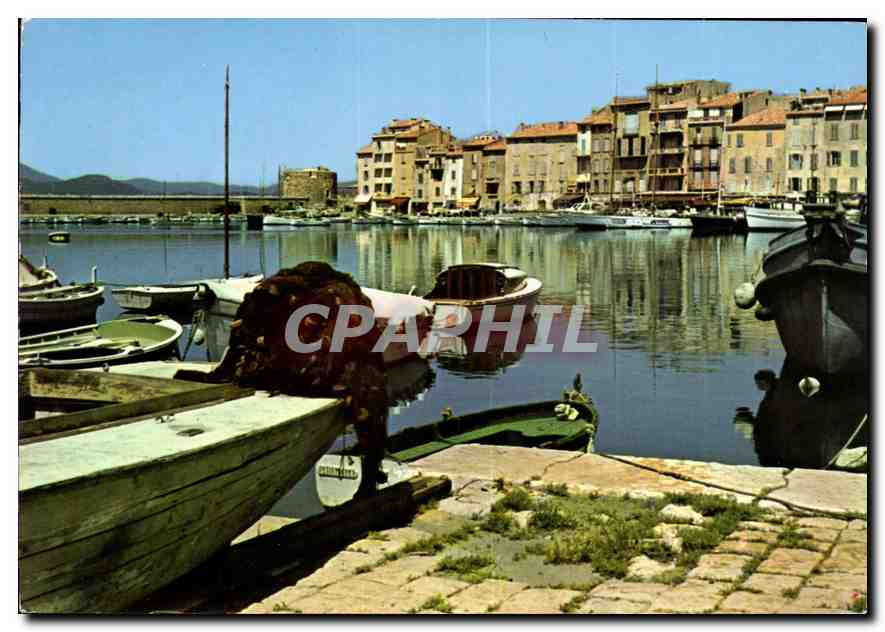 CPM Var Cote d'Azur Saint Tropez Le Port 