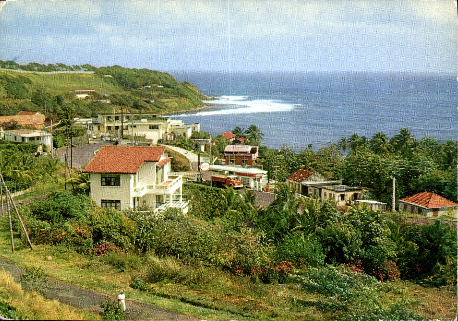 CPM Martinique Marigot Un verdoyant village de la cote atlantique 