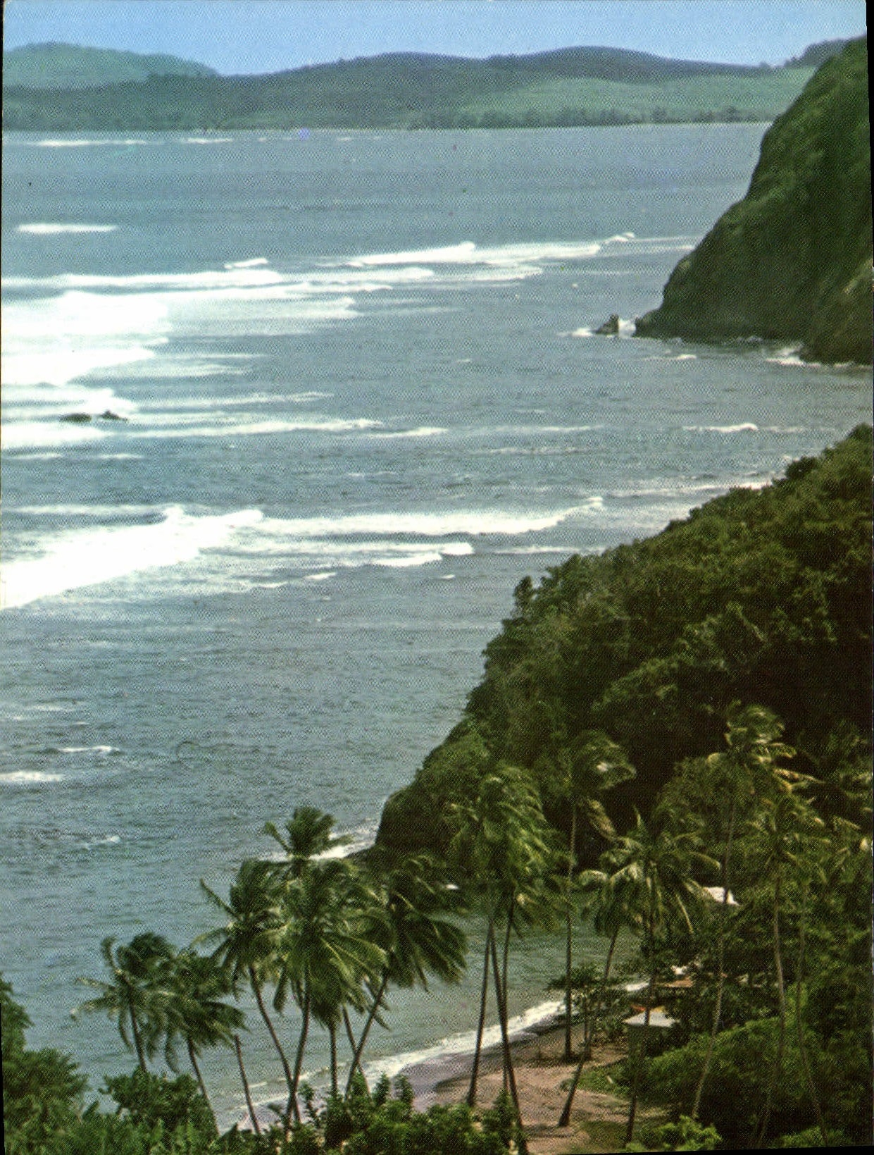 CPM Martinique Paysage sur la Cote Atlantique 