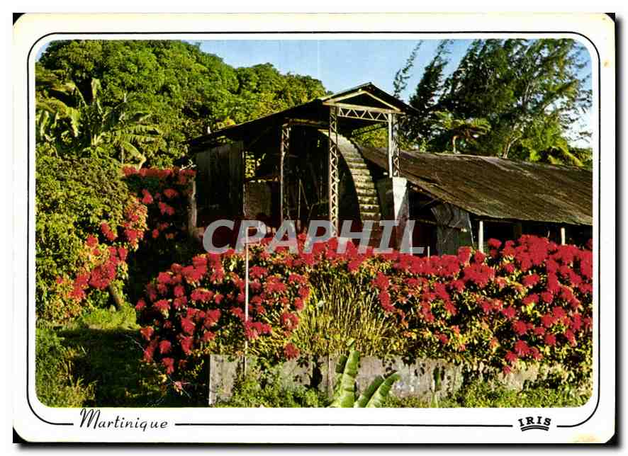 CPM Martinique Vieux moulin vers Saint Pierre 