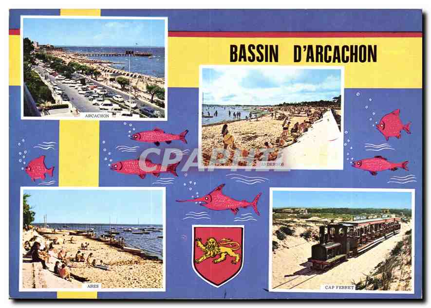 CPM Bassin d'Arcachon Gironde Poissons Train Cap Ferret Ares