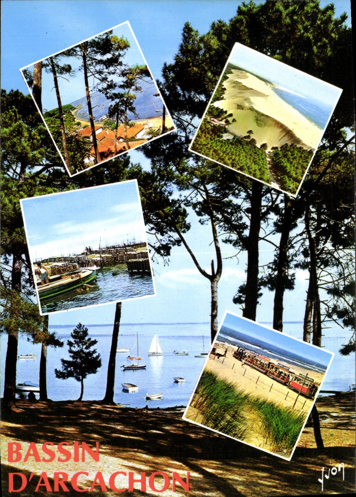 CPM Bassin d'Arcachon Gironde Pointe aux Chevaux 