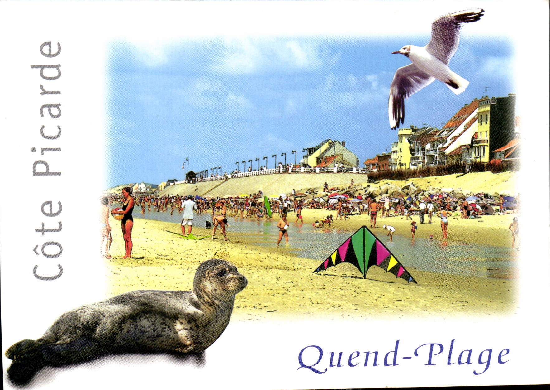 CPM Quend Plage les Pins Somme Cote Picarde la Plage Phoque Mouette Cerf Volant