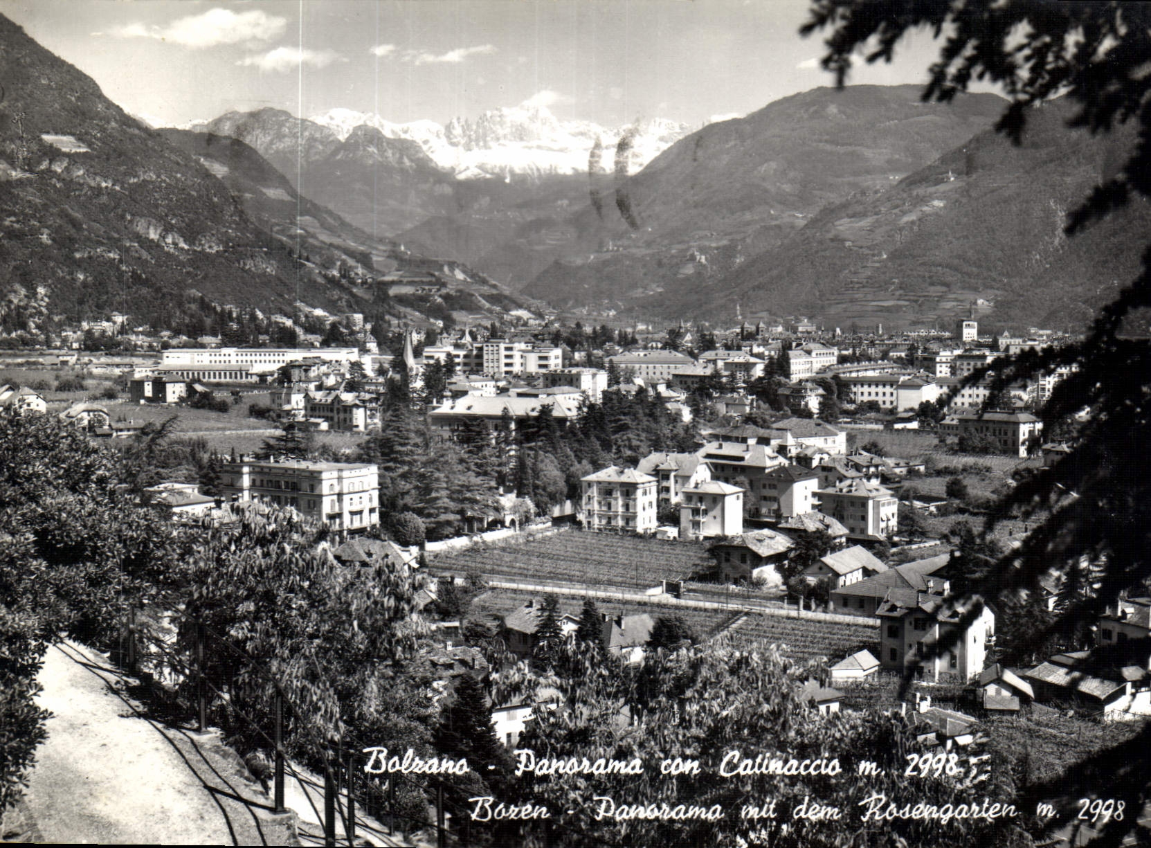 CPM Bolzano Panorama avec Catinaccio 