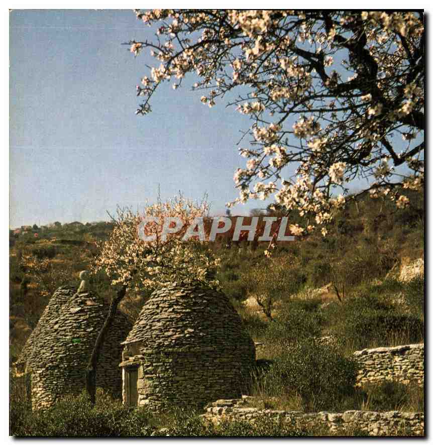 CPM Les belles Images de Provence Boris et Amandiers en fleurs 