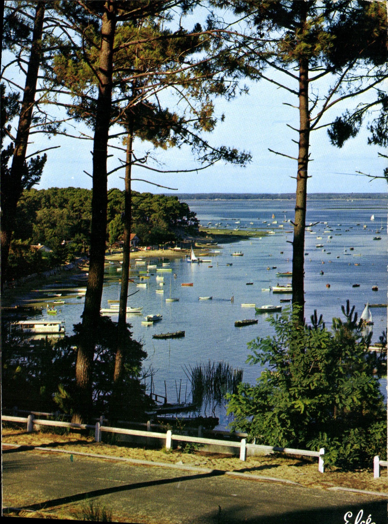 Bassin d'Arcachon — Vue depuis les pins — Édition Éléa
