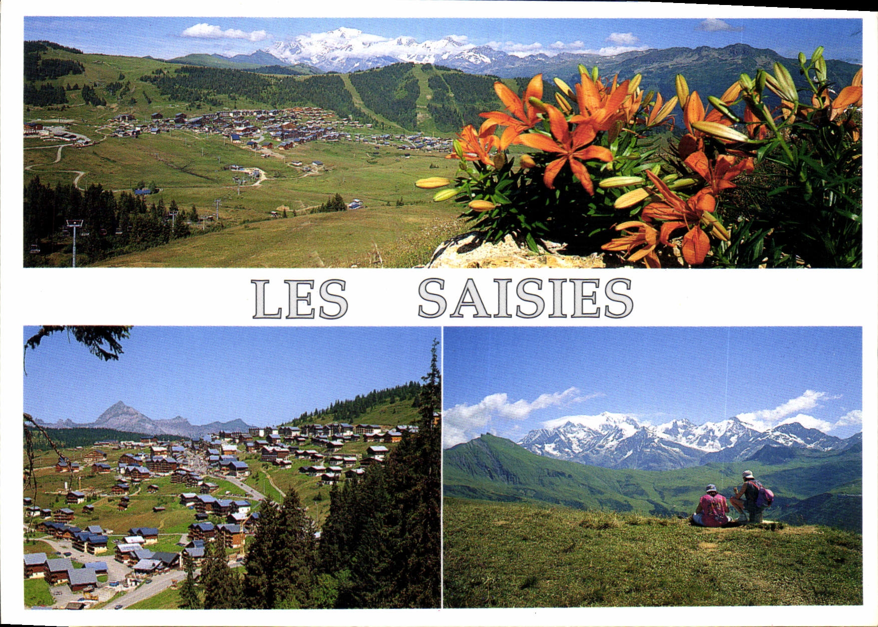 CPM Les Saisies Savoie France Station Ete Hiver 