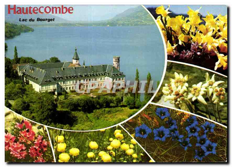 CPM L'Abbaye de Hautecombe et le Lac du Bourget Savoie 