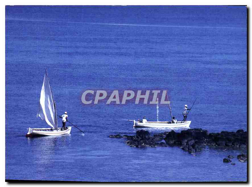 CPM Ile Maurice Photo C Laville 