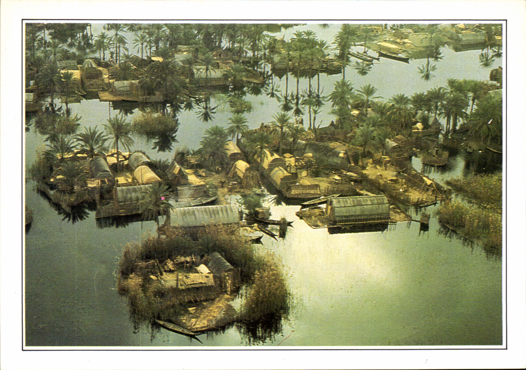 CPM Irak les Maadans Habitants des Marais 