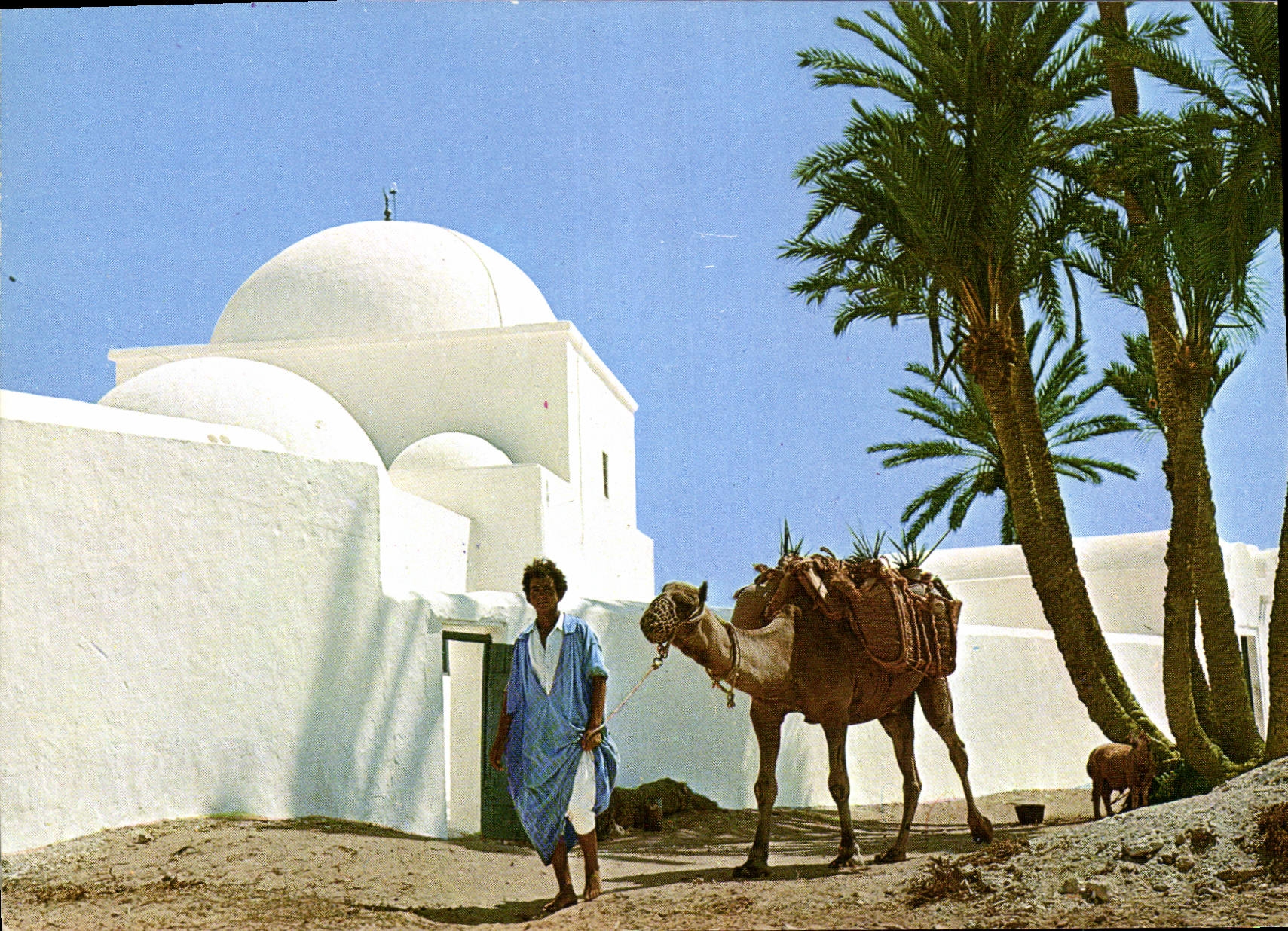 CPM Jerba Tunisie 