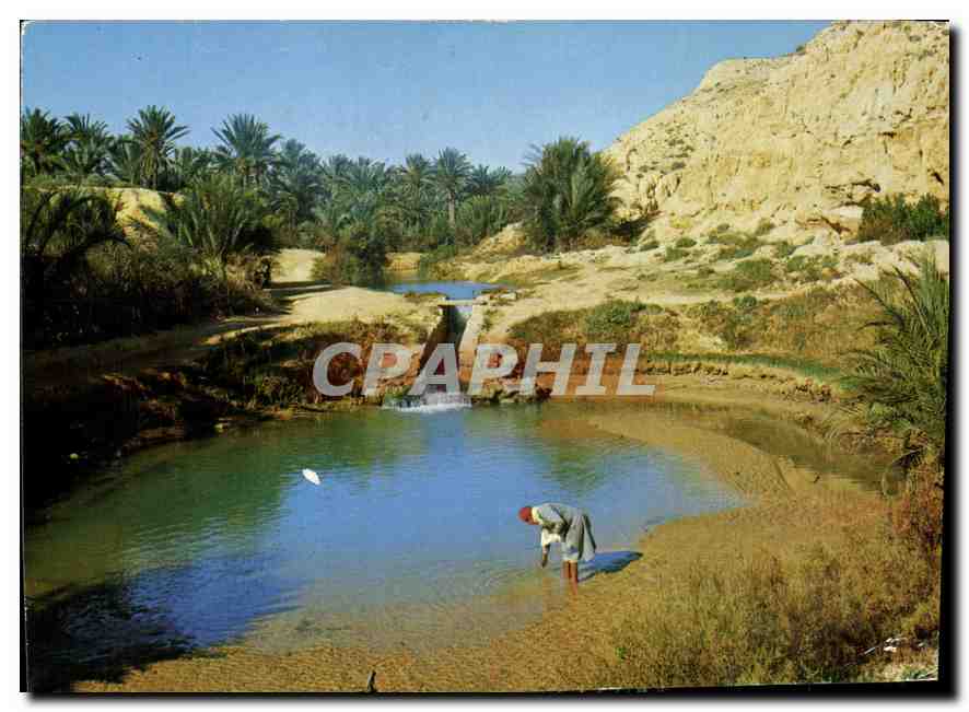 CPM Tunisie Gabes L'oasis