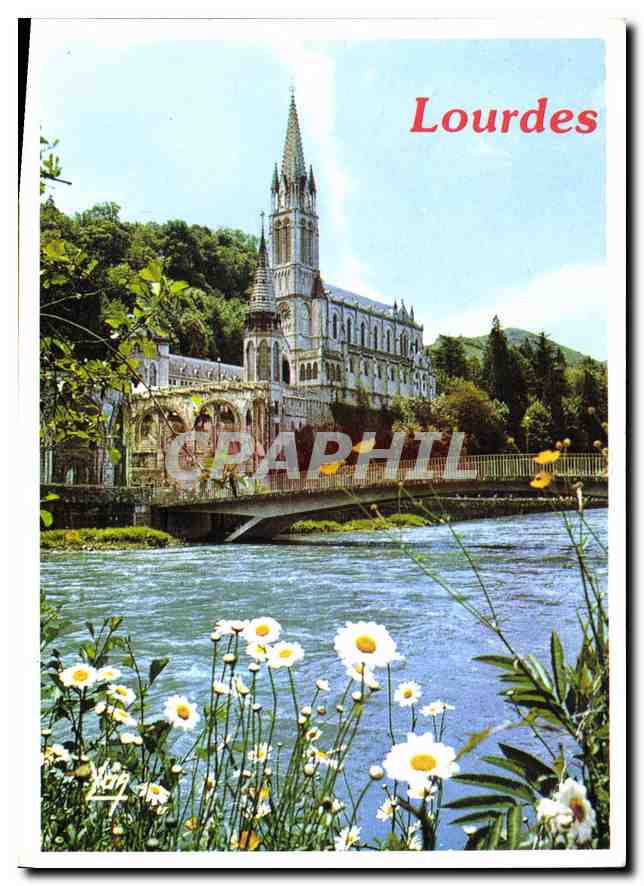 CPM Nos Belles Pyrenees Lourdes la Basilique et le Gave de pau 